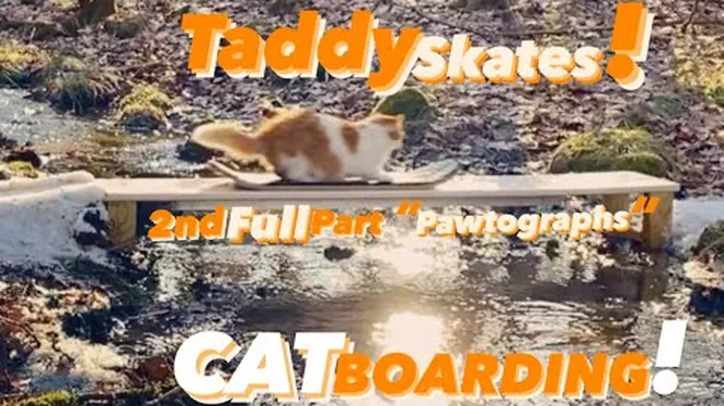 Смотреть Смотреть