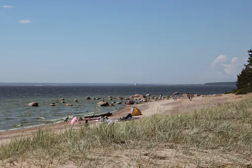 После приостановки авиасообщения с Турцией начал дорожать отдых на российских курортах После приостановки авиасообщения с Турцией начал дорожать отдых на российских курортах