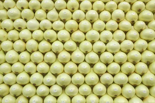 Жительница Подмосковья украла у предпринимателя 440 тонн лука Жительница Подмосковья украла у предпринимателя 440 тонн лука