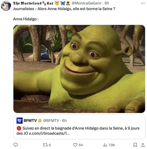 «Журналисты: "Анна Идальго, как вам Сена?" Тем временем Анна Идальго». «Журналисты: "Анна Идальго, как вам Сена?" Тем временем Анна Идальго».