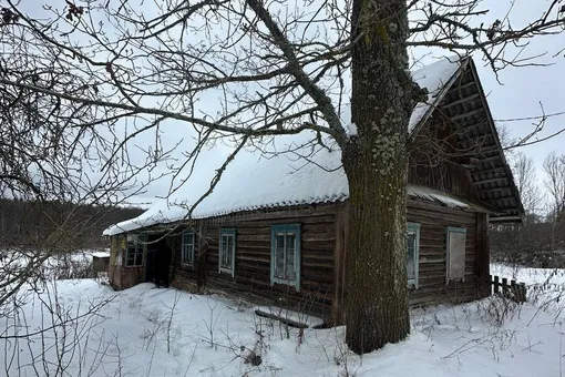 В Беларуси выставили на продажу деревню Веселуха — за 800 тысяч рублей В Беларуси выставили на продажу деревню Веселуха — за 800 тысяч рублей