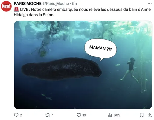 «Наша подводная камера засняла плавание Анны Идальго в Сене». «Наша подводная камера засняла плавание Анны Идальго в Сене».