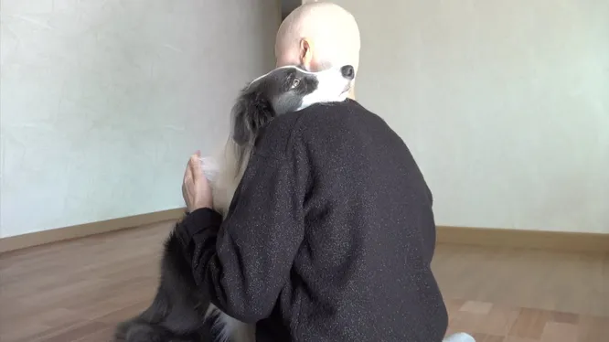 Смотреть Смотреть