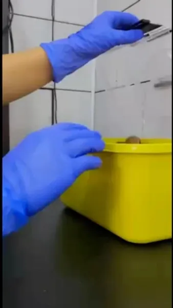 Смотреть Смотреть