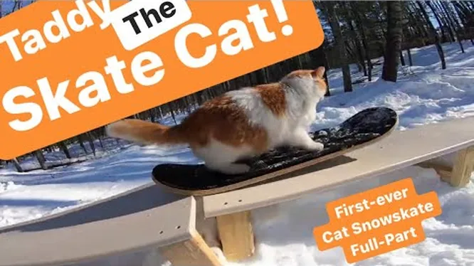 Смотреть Смотреть