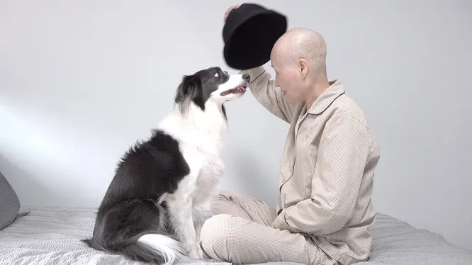 Смотреть Смотреть