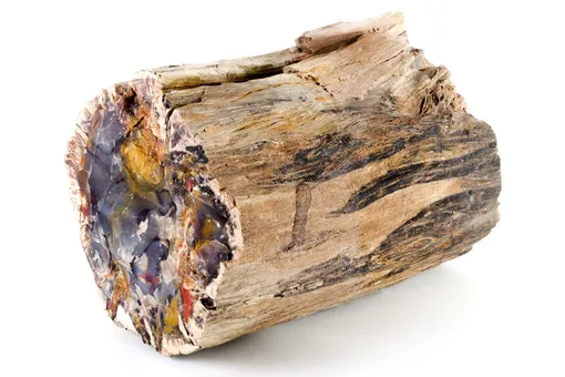 Судный пень Судный пень