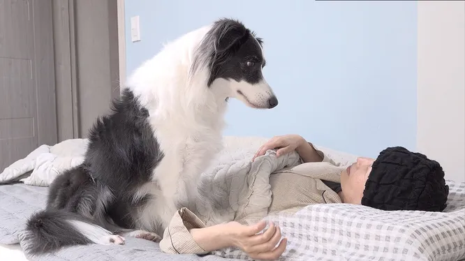 Смотреть Смотреть