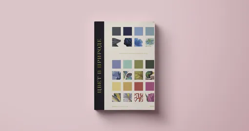 Книга «Цвет в природе» Книга «Цвет в природе»