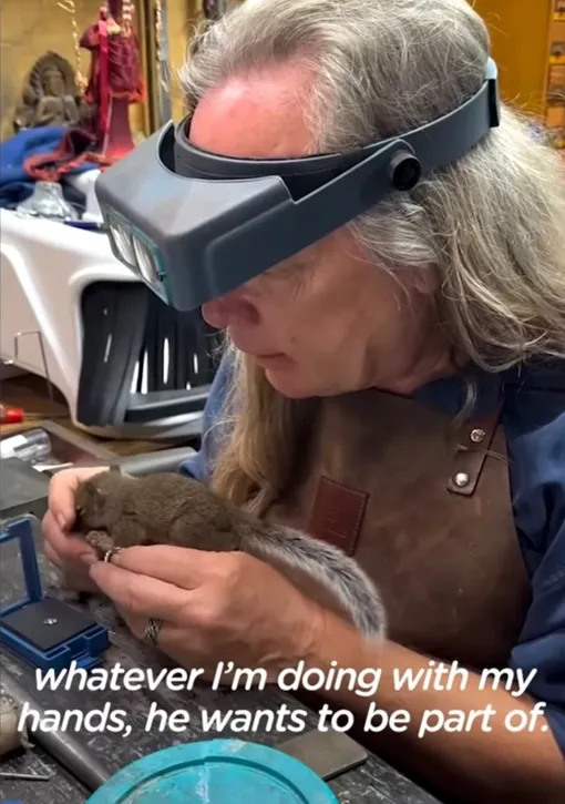 белка белка