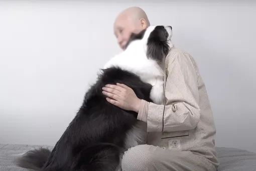 Посмотрите на реакцию собаки, узнавшей, что у ее хозяйки диагностировали рак Посмотрите на реакцию собаки, узнавшей, что у ее хозяйки диагностировали рак