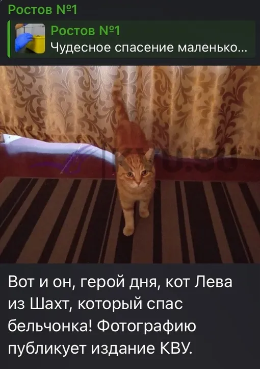 Соцсети Соцсети