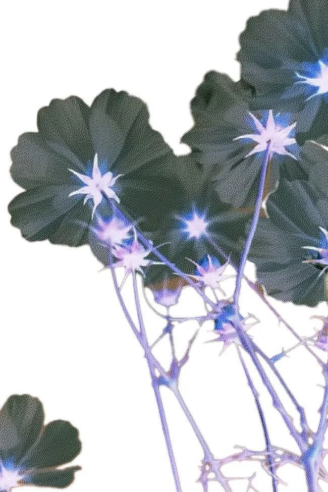 Достать чернил и плакать: как пережить февраль и дождаться весны. Советы психолога